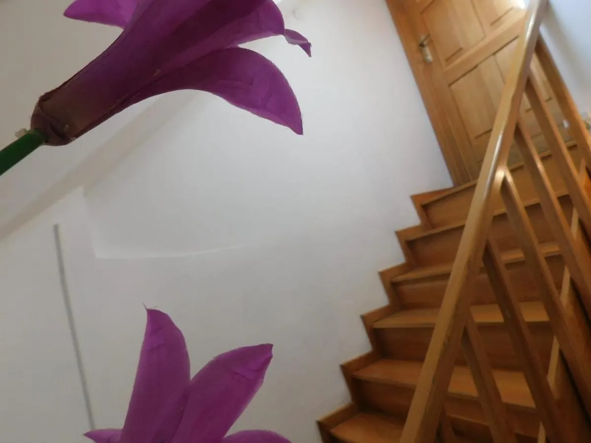Shoofeet Apartment Split One Step Away From The Main Promenade